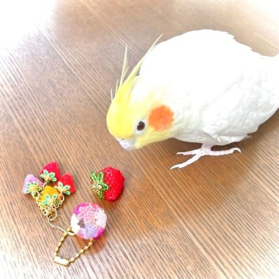 画像1: 芝♡桜♡玉